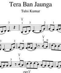 Notes for strings - violin, viola, cello, double bass. Tera Ban Jaunga.